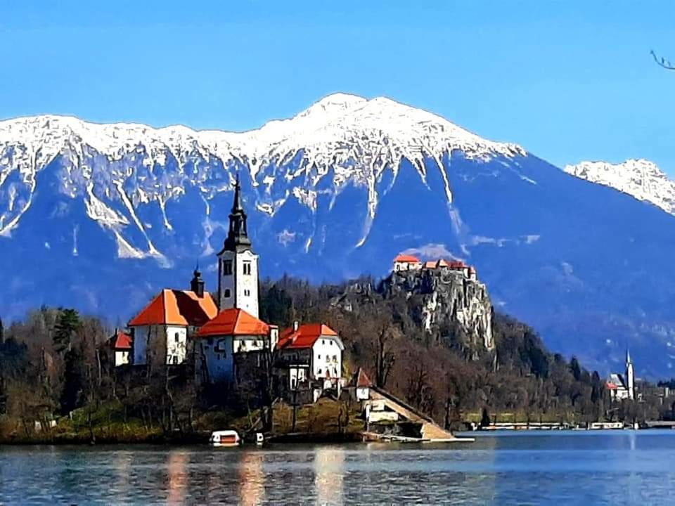 Apartments Violeta Блед Екстериор снимка