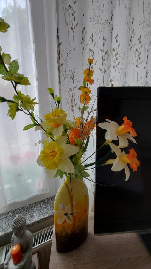 Apartments Violeta Блед Екстериор снимка